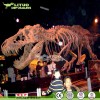 Museum Display High SImulation Life Size Dinosaur Skeleton Model