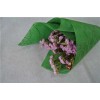 Flocked Nonwoven Sheet