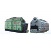 Single drum vertical chain grate steam boiler