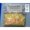 Testosterone Base 98% To Promote Male Genital Growth  CAS.58-22-0