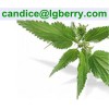 Nettle root extract / 6, 7-dihydroxybergamottin