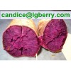 Professional purple sweet potato powder /anthocyanin 5%~70%