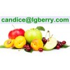 Wholesale 100% superfruit blends