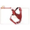 Non Padded Pu Leather Pet Dog Puppies Safety Walking Harness / dog training harness