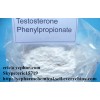 Testosterone phenylpropionate   CAS:  1255-49-8  Skype : eric15719