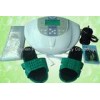 Five Programmes Cleanse Ionic Detoxification Foot Bath With Massage Shoes