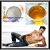 Npp Nandrolone Phenylpropionate 100 mg/ml Steroid Oil