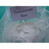 Testosterone Base