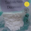 Testosterone Decanoate