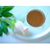 Cordyceps Cephalosporium Mycelia