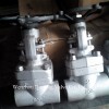 Forged steel 800LB globe valve