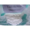Testosterone decanoate