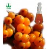 sea buckthorn fruit oil/hippophae rhamnoides oil/OEM capsule/cosmetical oil/healthcare softgel