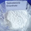 Testosterone CAS No.: 315-37-7   judy26@ycphar.com