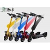 Foldable 2 Wheel Standing Electric Scooter For Teenagers , Light And Handy