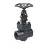 Industrial Forged Steel Globe Valves