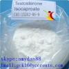 Adrenal Cortex Hormone Raw Steroid Powders Testosterone Isocaproate CAS 15262-86-9