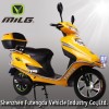Electric Motorcycle ML-XZS