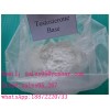 Testosterone Base
