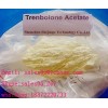 Trenbolone Acetate