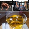 Testosterone Acetate 100mg/ml Semi-finished Liquids