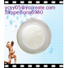 Testosterone Undecanoate 5949-44-0 Raw Steroid Powders to Promote Metabolism