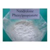 Nandrolone phenylpropionate