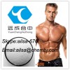 Muscle Building Testosterone Steroid Hormone