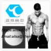 Healthy Testosterone Phenylpropionate Male Muscle Building Steroid Hormone Powder CAS 1255-49-8