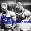 Testosterone phenylpropionate