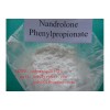 High Quality with purity Boldenone Boldenone undecanoate CAS No: 13103-34-9
