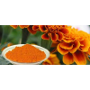 Marigold Oleoresin