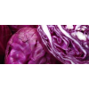 Red Cabbage