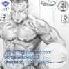 Mesterolone Proviron Raw Hormones Steroid  CAS: 1424-00-6