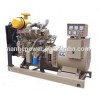 Electric Diesel Generator