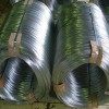 Electro galvanized wire  ,black iron wire