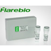 CD59|CD59  antibody