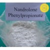 Nandrolone Phenylpropionate