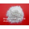 Nandrolone Decanoate