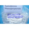 Testosterone Phenylpropionate & helen@ycgmp.com