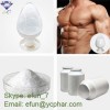 99%High Quality Steroid Hormone Testosterone Acetate