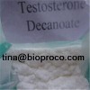 Testosterone Decanoate