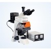 Epi-fluorescent Microscope MF30