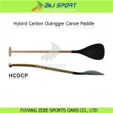HCOCP