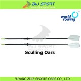 Sculling Oars