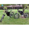 Adult Professional Full Suspension 19" Enduro E Bike Electric Powered Bicycle