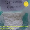 Testosterone Decanoate
