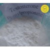 Muscle Building Injectable Testosterone Phenylpropionate  Medical Steroid Powder CAS: 1255-49-8