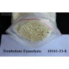 Trenbolone Acetate Trenbolone Acetate Powder Steroids