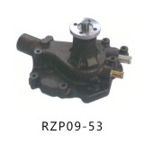 RZP09-53